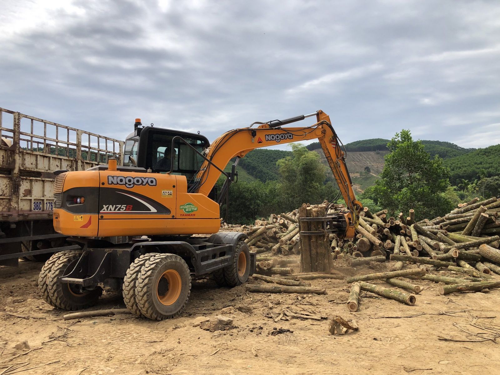 máy xúc đào kẹp gỗ